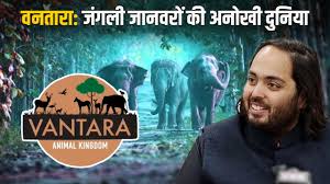 Vantara: वनतारा के जंगल में दुर्लभ जंगली जानवरों का आशियाना