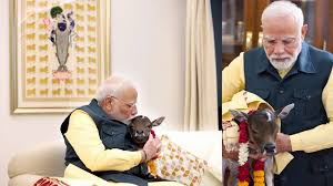 PM मोदी के घर आई नन्ही सी 'दीपज्योति', गोद में लेकर साथ खेलते दिखे  प्रधानमंत्री, देखें VIDEO | Navbharat Live